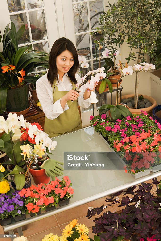 Fioraio lavorando nel suo negozio di fiori alto angolo guardare in basso - Foto stock royalty-free di Adulto