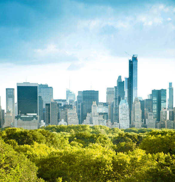 нью-йорк сити центральный парк, - new york city built structure building exterior aerial view стоковые фото и изображения