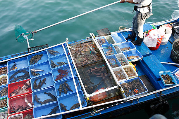 Selling fresh seafood from the boat at Sai Kung, Hong Kong
