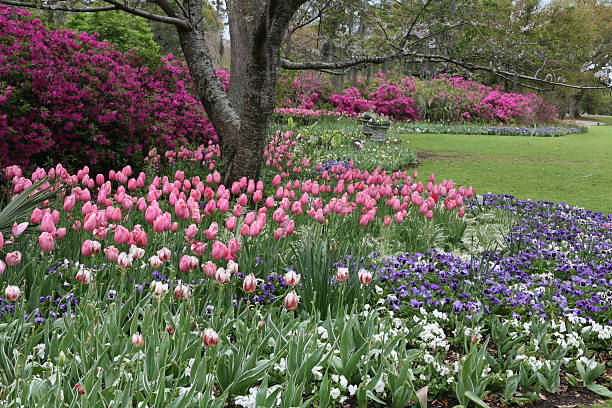 istock spring garden in pink and blue 471193317
