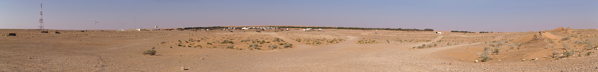 Panorama of Ksar Ghilane oasis in Tunisian Sahara filled with palms and large golden dunes.