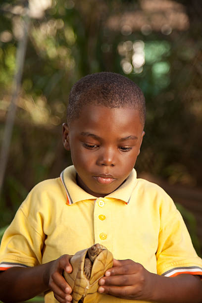 istock Little Boy Observing A Baby Turtle 471194603