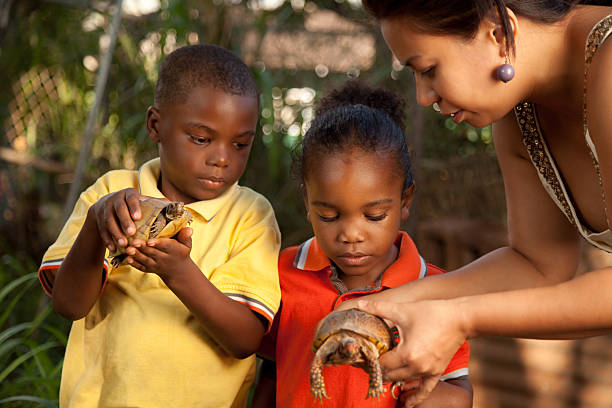 istock Little Boys Observing Baby Turtles 471194643