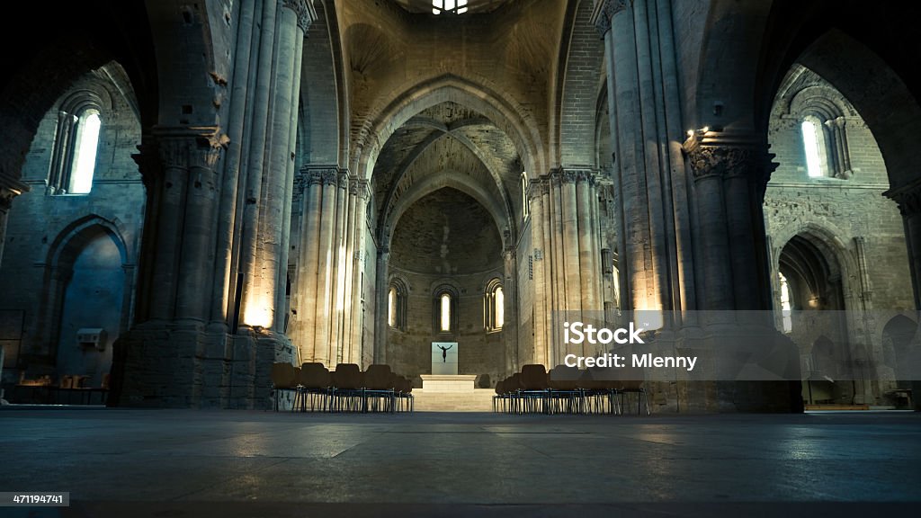 La Cathédrale de La Seu Vella - Photo de Prise de vue en intérieur libre de droits