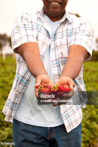 Segurar Morangos - Fotografias de stock e mais imagens de Apanha - Apanha, Morango, Afro-americano