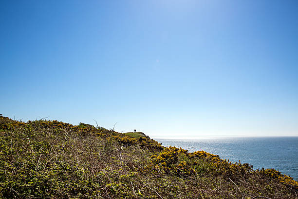 istock Couple on Gower headland 471195342