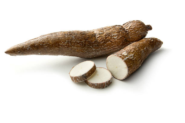 Vegetables: Cassava Root Isolated on White Background http://www.stefstef.nl/banners2/vegetables.jpg mandioca stock pictures, royalty-free photos & images