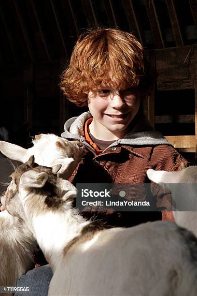 남자아이 및 염소 가축에 대한 스톡 사진 및 기타 이미지 - 가축, 광학 작용, 귀여운