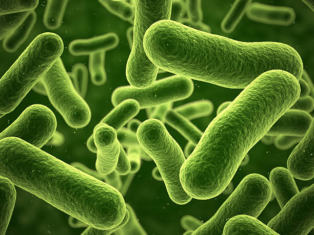3d render Bacteria closeup (depth  of field)