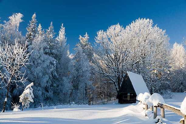 istock early winter morning 471198107