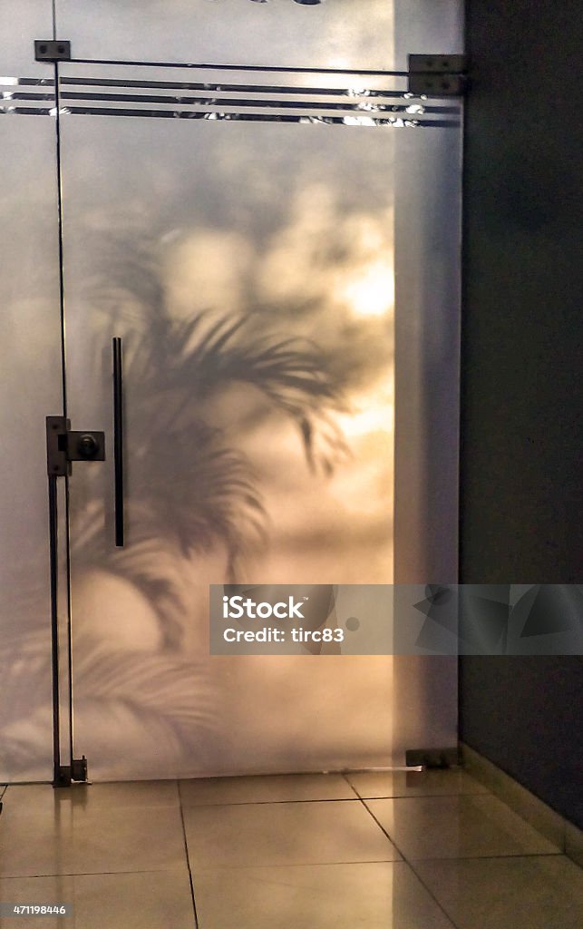 Palm fronds backlit through a glass door 2015 Stock Photo