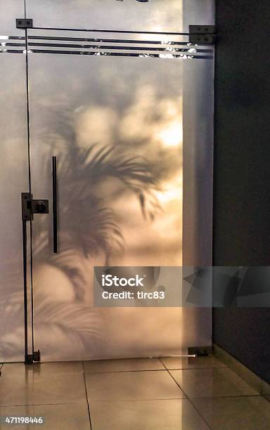 Palm Fronds Backlit Through A Glass Door Stock Photo - Download Image Now - 2015, Back Lit, Building Entrance