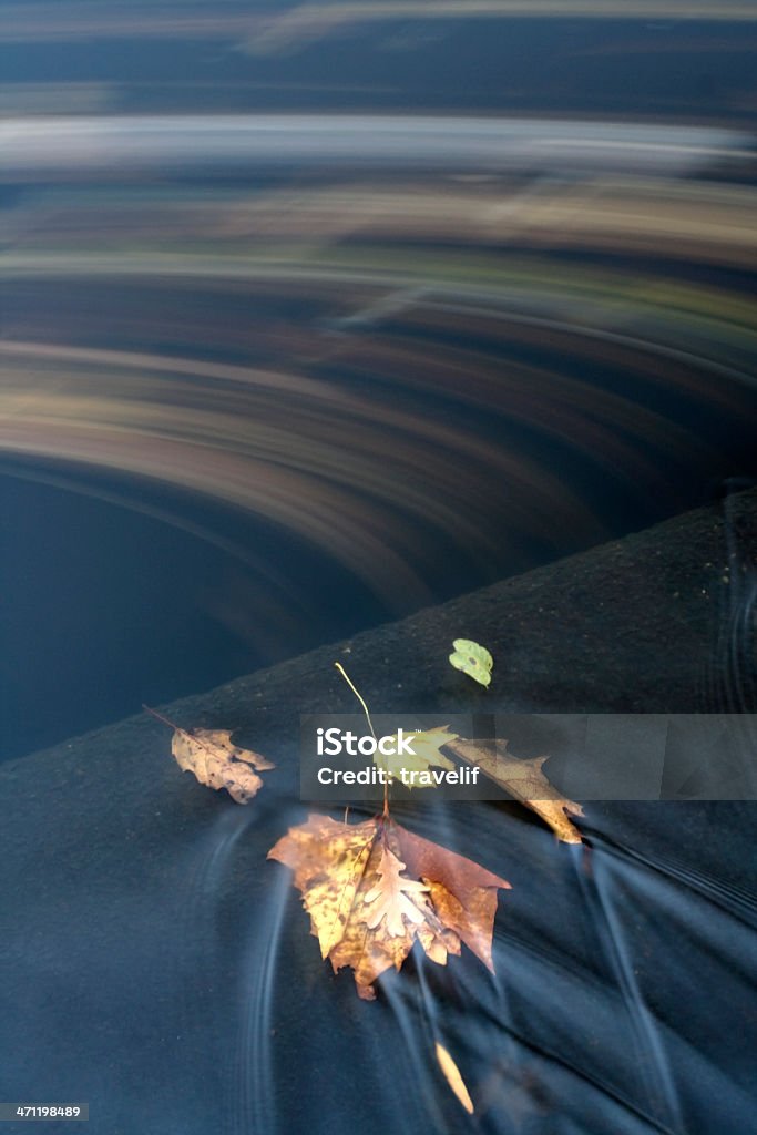 Galleggianti autunno foglie - Foto stock royalty-free di Acqua