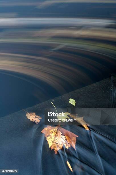 Galleggianti Autunno Foglie - Fotografie stock e altre immagini di Acqua - Acqua, Ambientazione esterna, Autunno