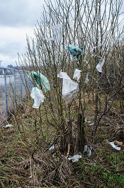 istock Tree of bags 471199226