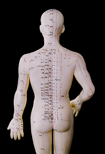 An acupuncture model of the male human body depicting the acupoints and meridiens used in Traditional Chinese Medicine and massage therapy