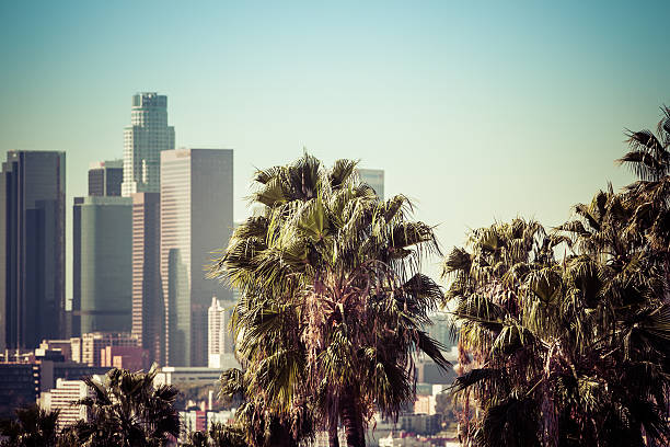 istock Downtown Los Angeles With Palm Trees 471199278