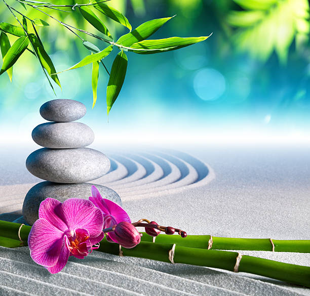 sand, orchid and massage stones in zen garden alternative massaging in rock garden with stones, purple orchid and bamboo shoots japanese rock garden stock pictures, royalty-free photos & images
