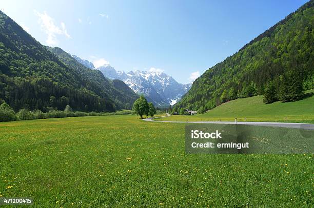 Splendida Valley - Fotografie stock e altre immagini di Alpi - Alpi, Bellezza, Bellezza naturale