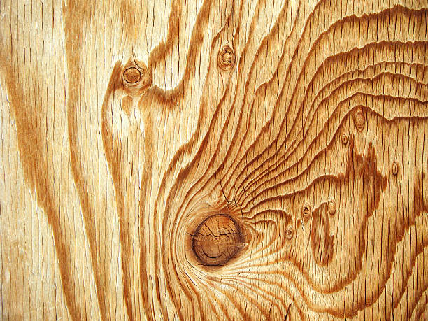 Wood Background stock photo