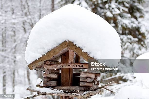 Uccello Casa Inverno - Fotografie stock e altre immagini di Casetta per gli uccelli - Casetta per gli uccelli, Composizione orizzontale, Fotografia - Immagine
