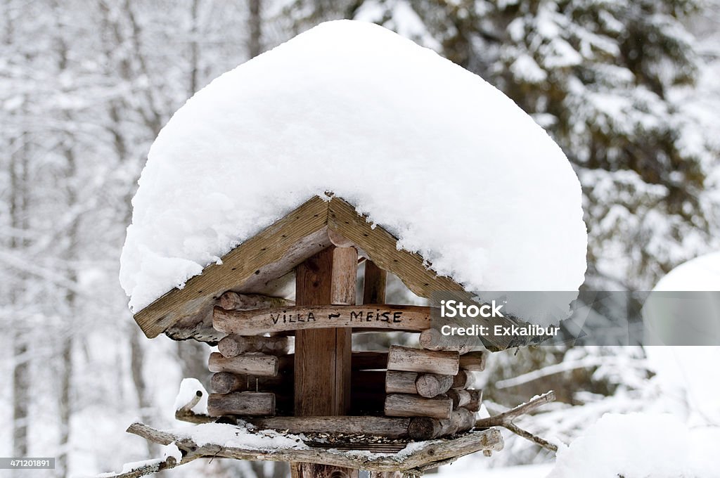 겨울맞이 야생조류 하우스 - 로열티 프리 0명 스톡 사진