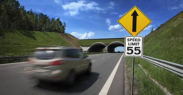 carro vai rápido com sinal de estrada de limite de velocidade - car horizon over land driving street imagens e fotografias de stock