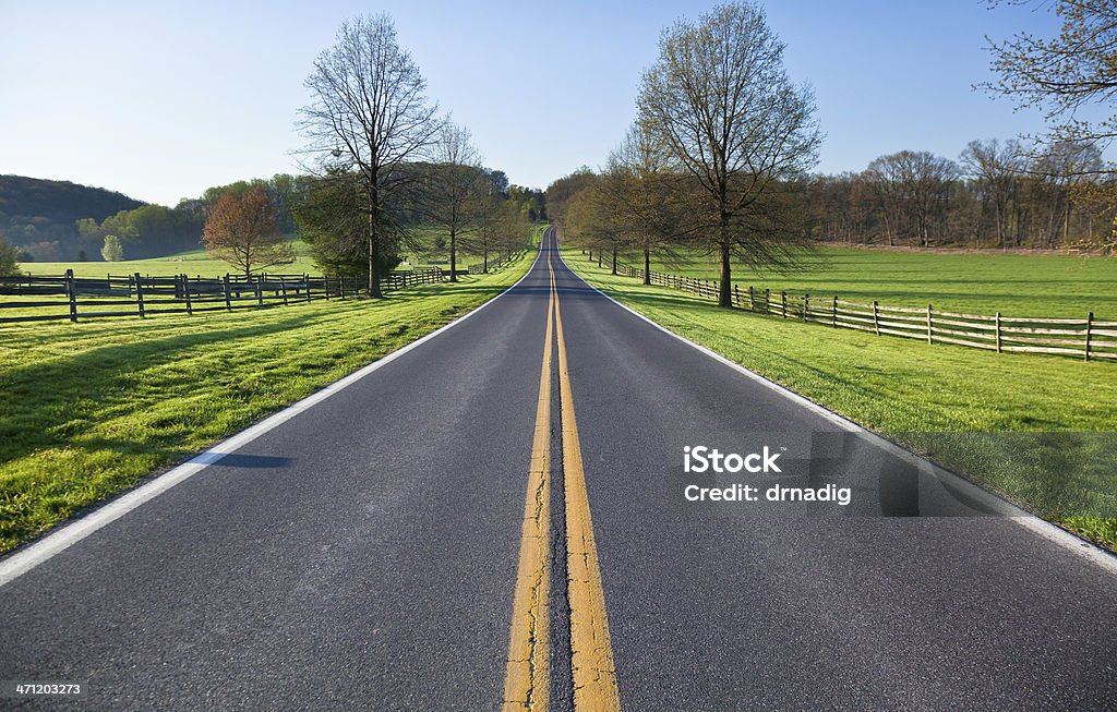 Carretera de campo en la primavera por la mañana - Foto de stock de Vía libre de derechos