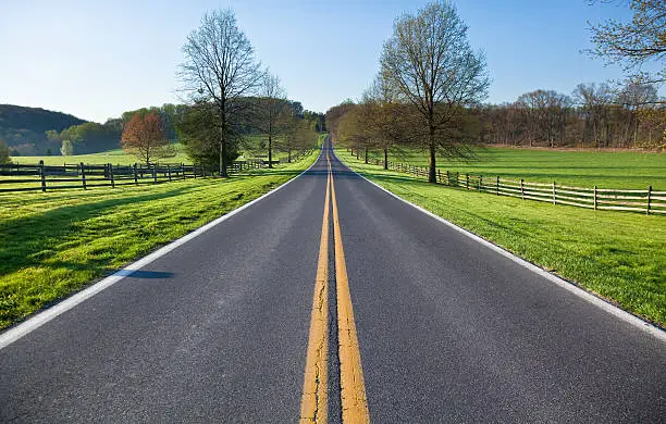 Photo of Country Road on a Spring  Morning