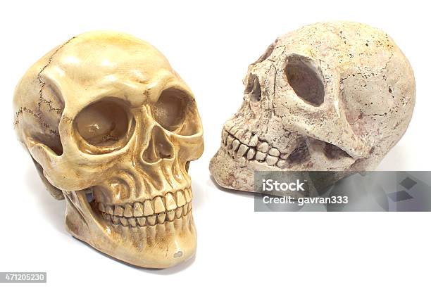 Two Human Skulls Isolated On White Stock Photo - Download Image Now - 2015, Absence, Cemetery