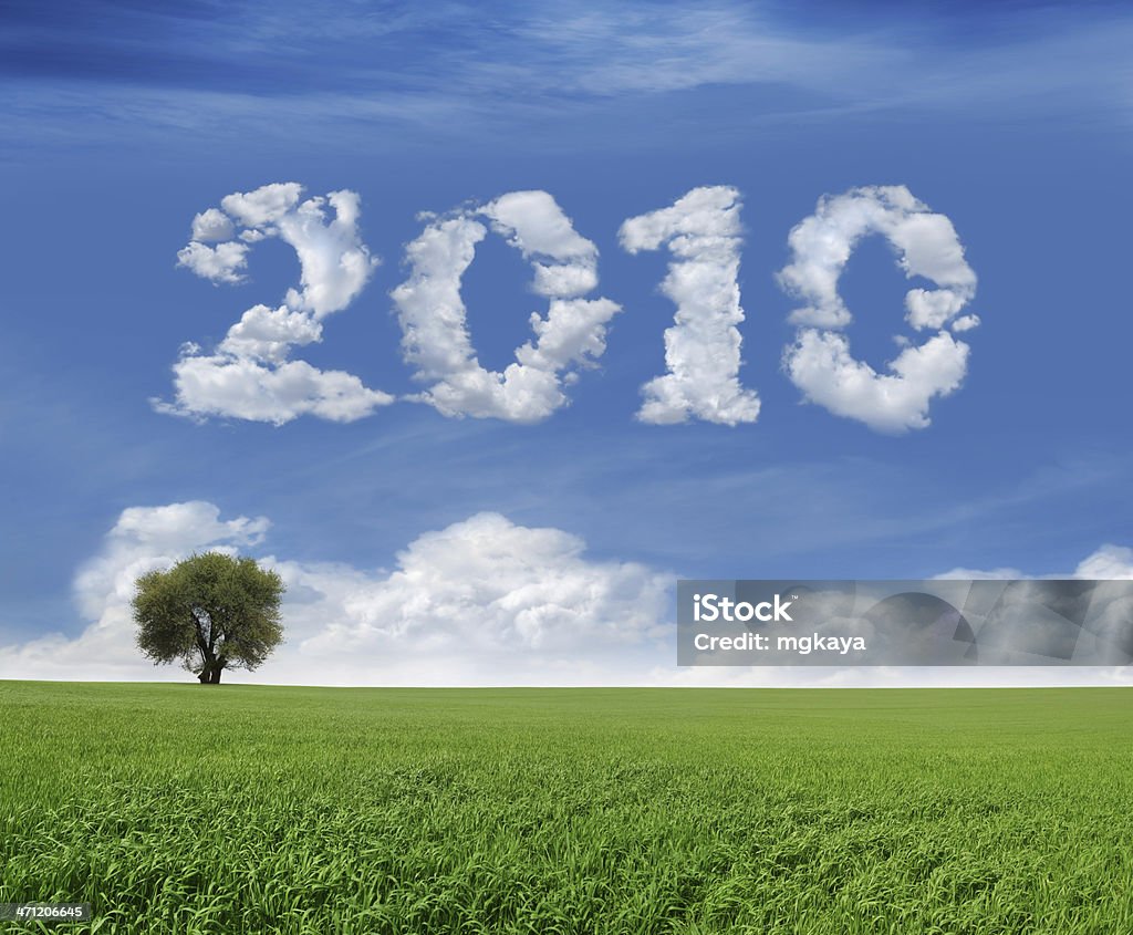 New Year 2010 And Field Lonely tree and green field landscape with clouds in the shape of "2010". Skywriting Stock Photo