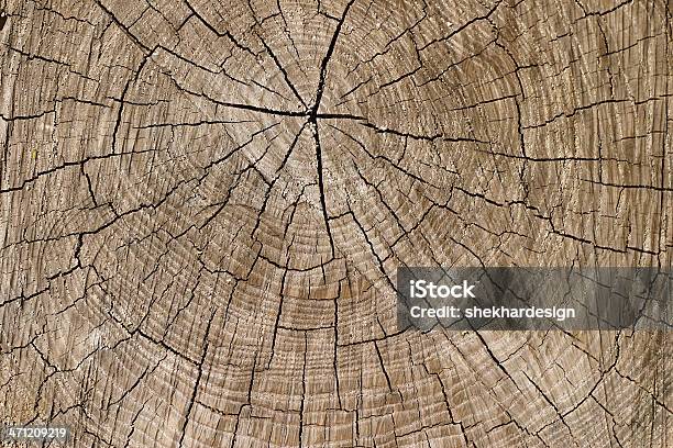 Wood Cut Texture Stock Photo - Download Image Now - Art, Arts Culture and Entertainment, Backgrounds