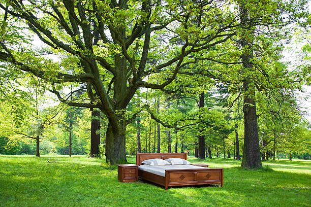 istock bed in a forest- concept of good sleep 471211099