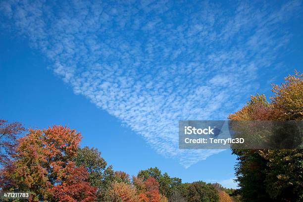 Inusuales Cirrocúmulo Nubes En Otoño Foto de stock y más banco de imágenes de Cirrocúmulo - Cirrocúmulo, Otoño, Altocúmulo