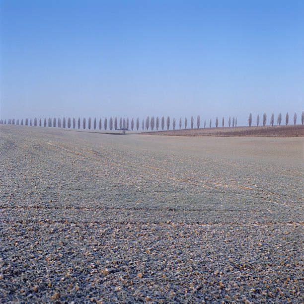 Landscape four seasons winter.