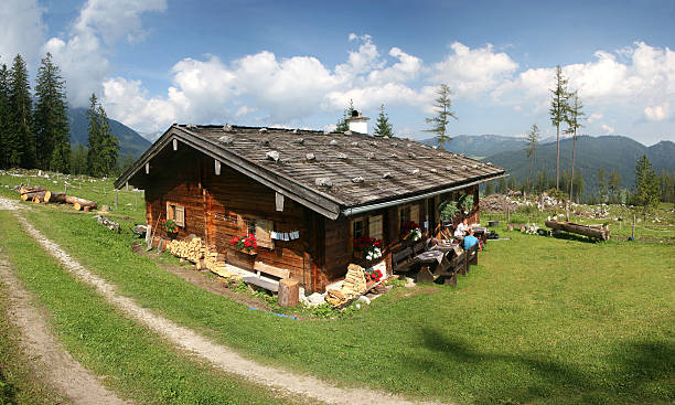 바이에른 알프스 인근에 베르히테스가덴 (stubenalm - alm bavaria mountain summer 뉴스 사진 이미지