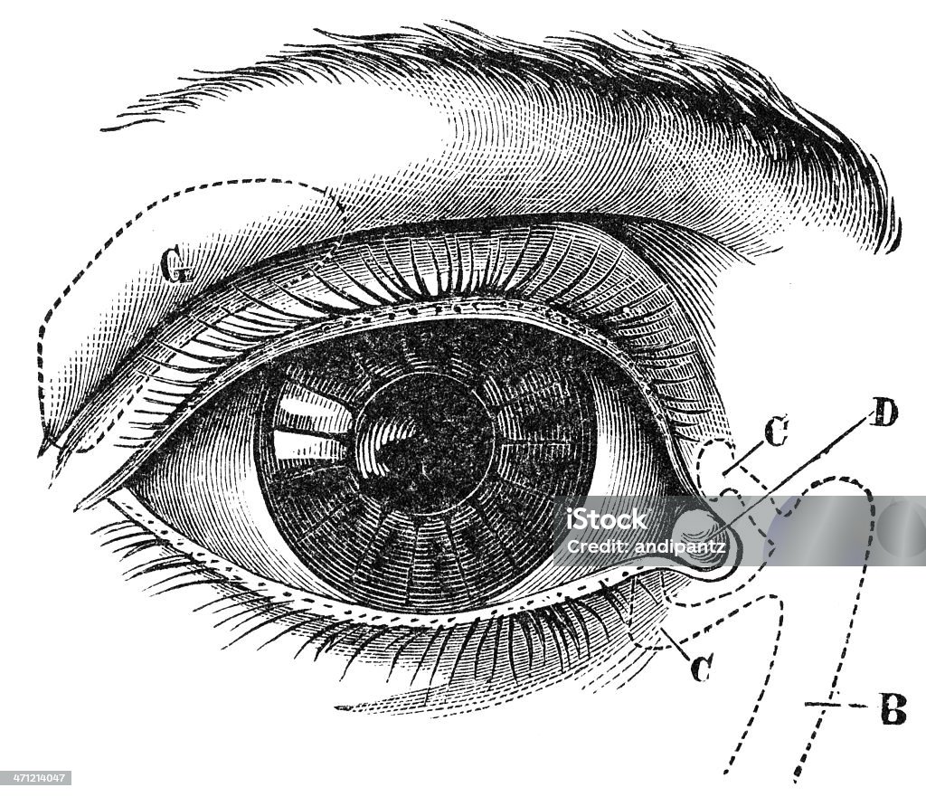 Eye - Lizenzfrei Auge Stock-Foto