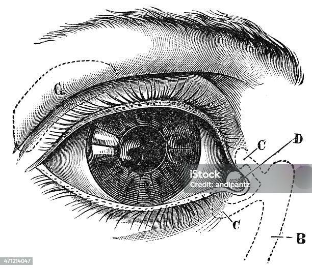 Eye Stock Photo - Download Image Now - Eye, Old-fashioned, Illustration