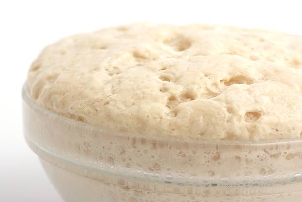 rising fermento - yeast dough - fotografias e filmes do acervo