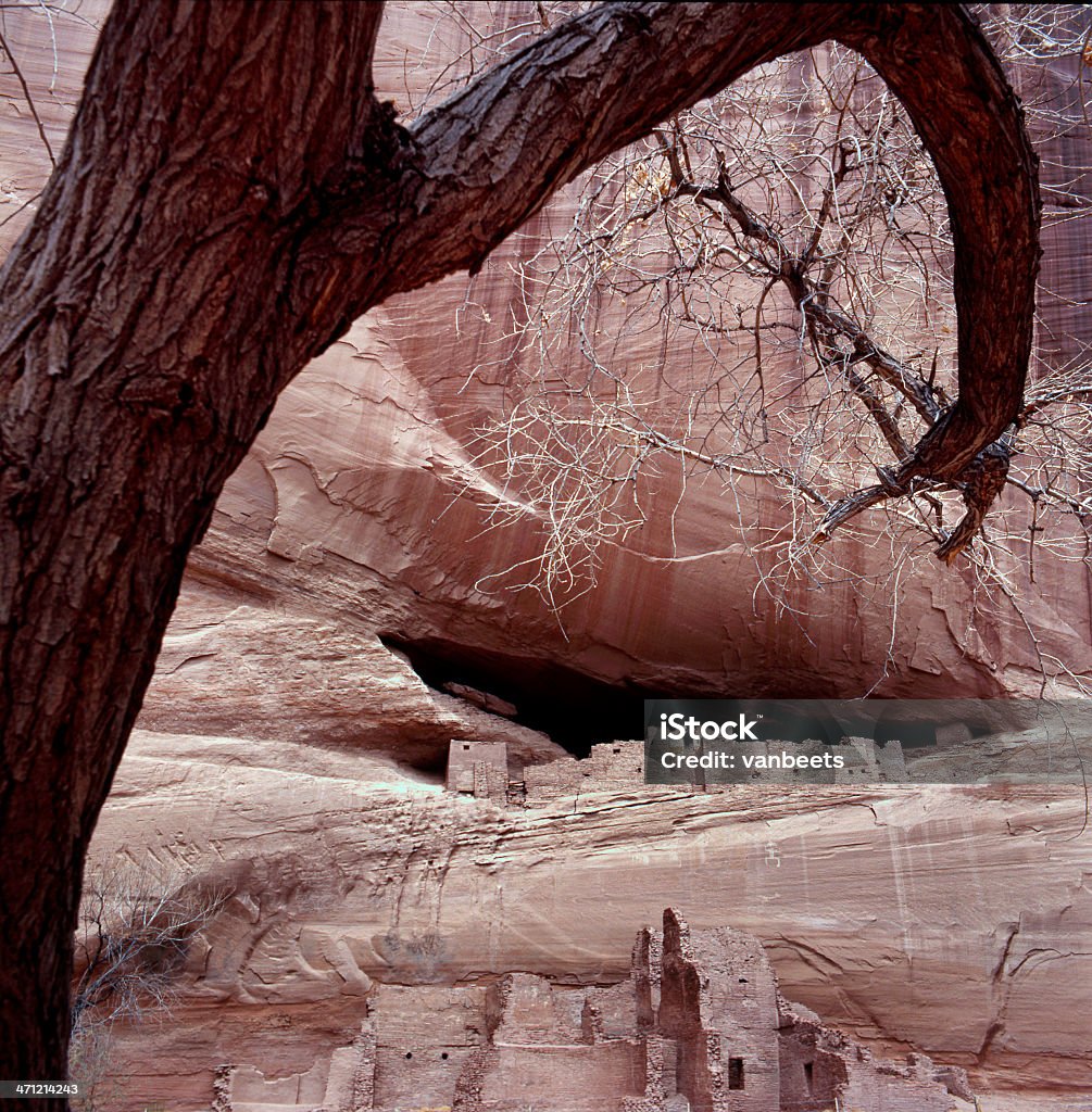 Biały Domowy Czerep w Canyon de Chelly - Zbiór zdjęć royalty-free (Bez ludzi)