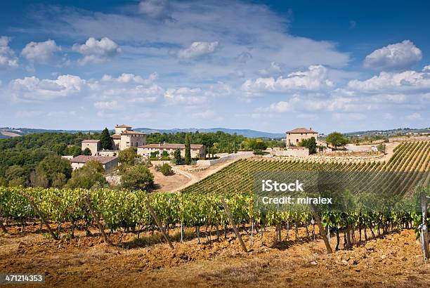 Photo libre de droit de Paysage De La Toscane Avec Des Vignobles Dans La Région De Chianti banque d'images et plus d'images libres de droit de Automne