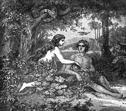 Adam y Eve photo