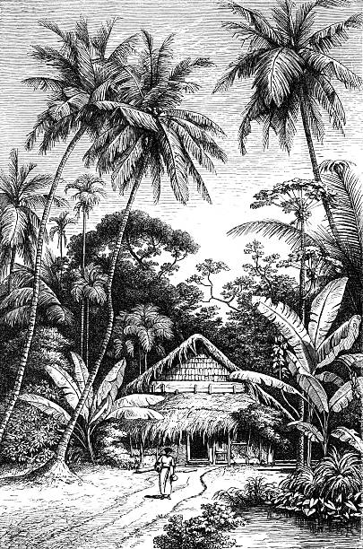 hut around palm trees.