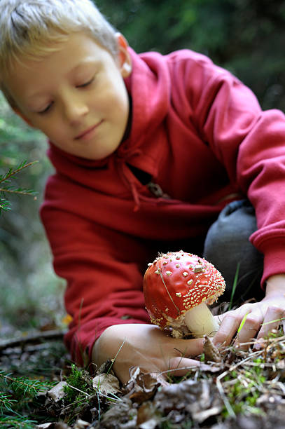 istock Boy is picking a poisonous mushroom 471215433