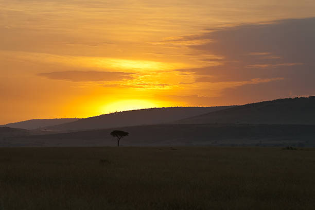 istock Dawn at Masai Mara, Kenya 471215685
