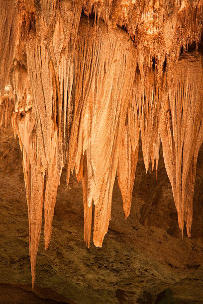 Carlsbad Caverns National Park "The Chandelier" "The Chandelier" in the Hall of Giants area of the Big Room in Carlsbad Caverns National ParkTo see all my Guadalupe Mountains and Carlsbad Caverns photos, click here carlsbad texas stock pictures, royalty-free photos & images