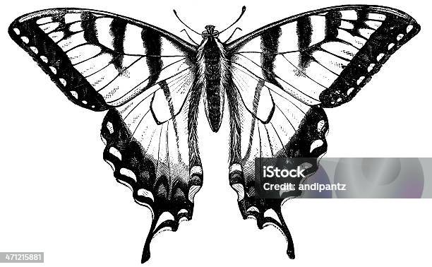 Turnus Schwalbetail Stockfoto und mehr Bilder von Schmetterling - Schmetterling, Illustration, Gravieren