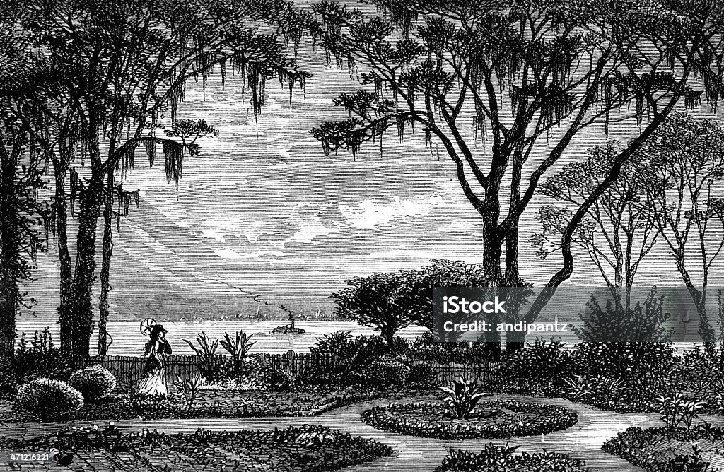 Garden at Mt. Pleasant Engraving of "Garden at Mt. Pleasant - Opposite Charleston" in "The Great South: Southern Mountain Rambles" by Edward King in 1874. The engraving is now in the public domain. History Stock Photo