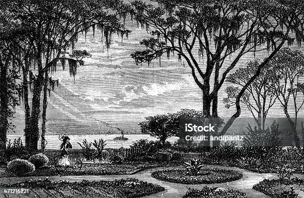 Garden At Mt Pleasant Stock Photo - Download Image Now - History, Illustration, Old-fashioned