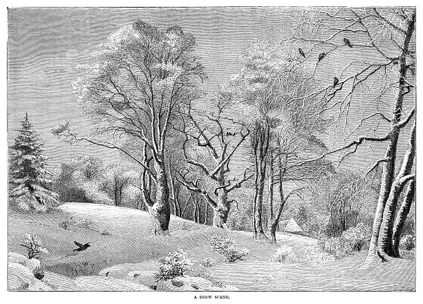 Victorian illustration - Snow scene An illustration from "The Family Friend" published by S.W. Partridge & Co. (London, 1850). Pretty rural snow scene. bare tree snow tree winter stock illustrations